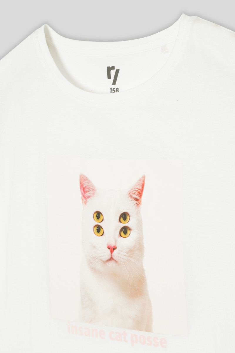 Biały T-shirt dziewczęcy z kotem | Reporter 
