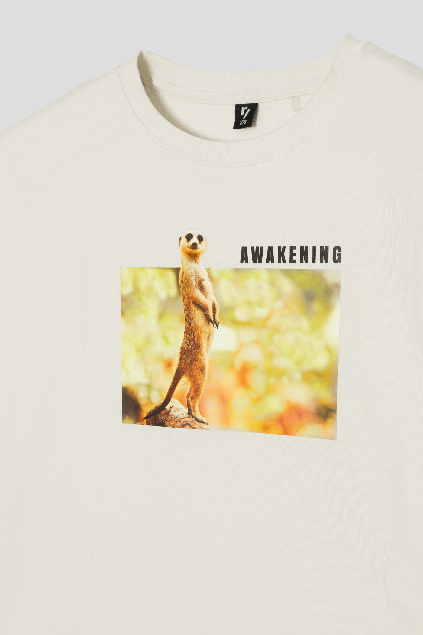 Kremowy szeroki T-shirt dziewczęcy z surykatką | Reporter