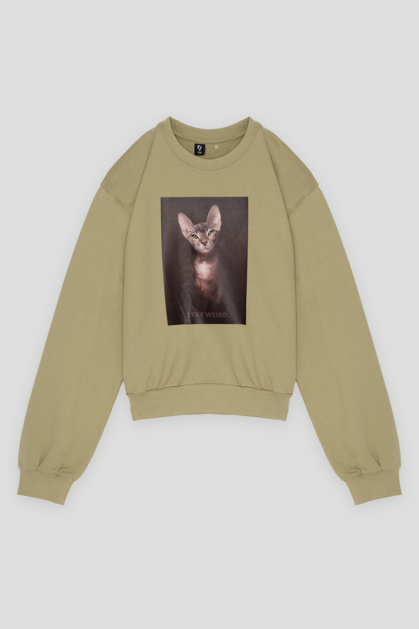 Oliwkowa bluza dresowa z nadrukiem z motywem kota