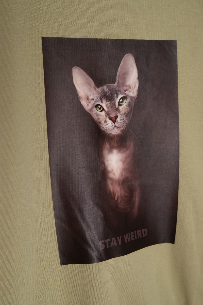 Oliwkowa bluza dresowa z nadrukiem z motywem kota