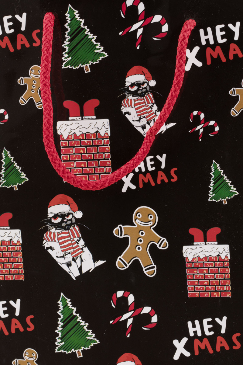 Świąteczna torba papierowa prezentowa, multikolor