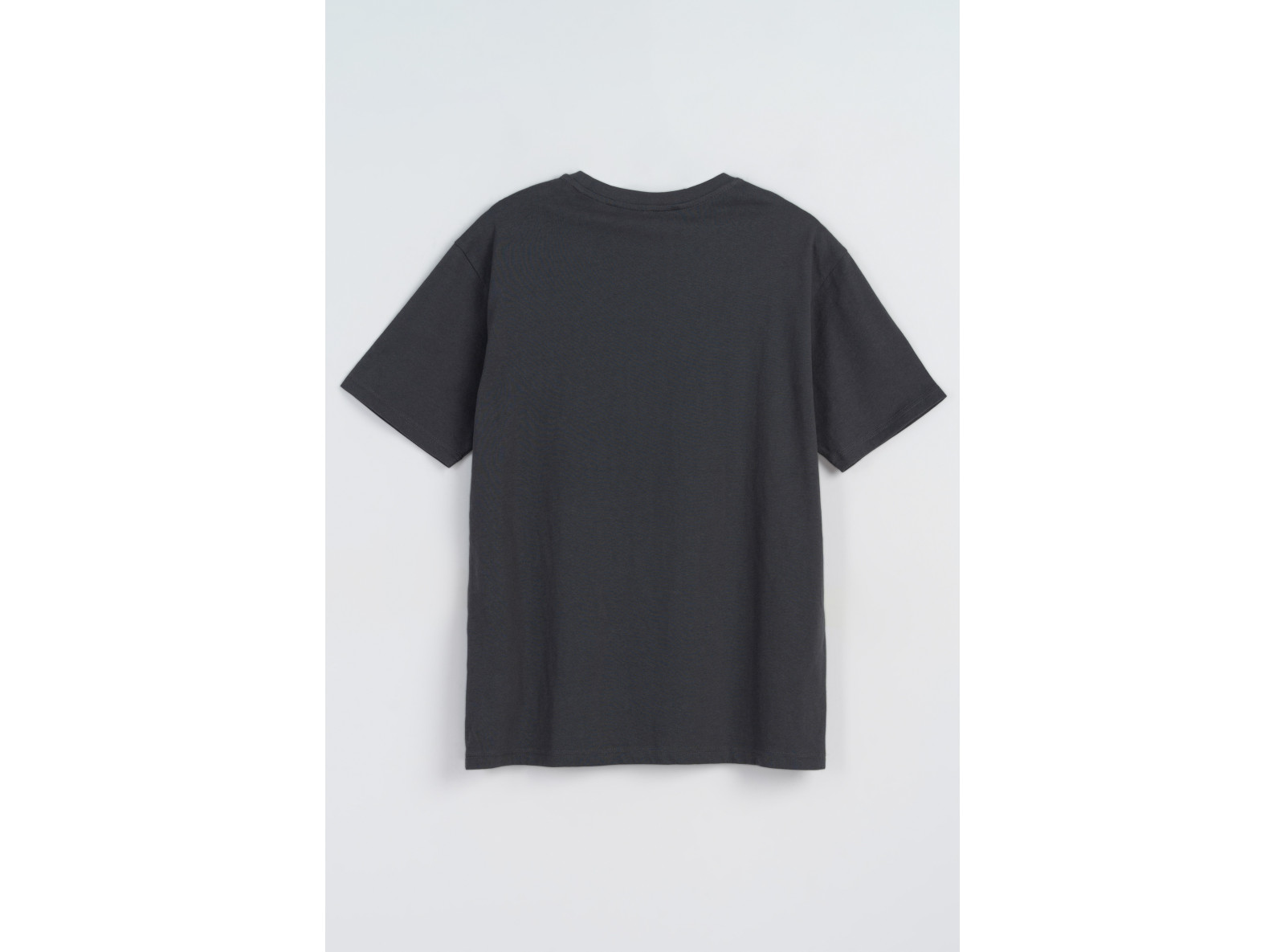 Szary t-shirt z nadrukiem w technice reflective print z przodu