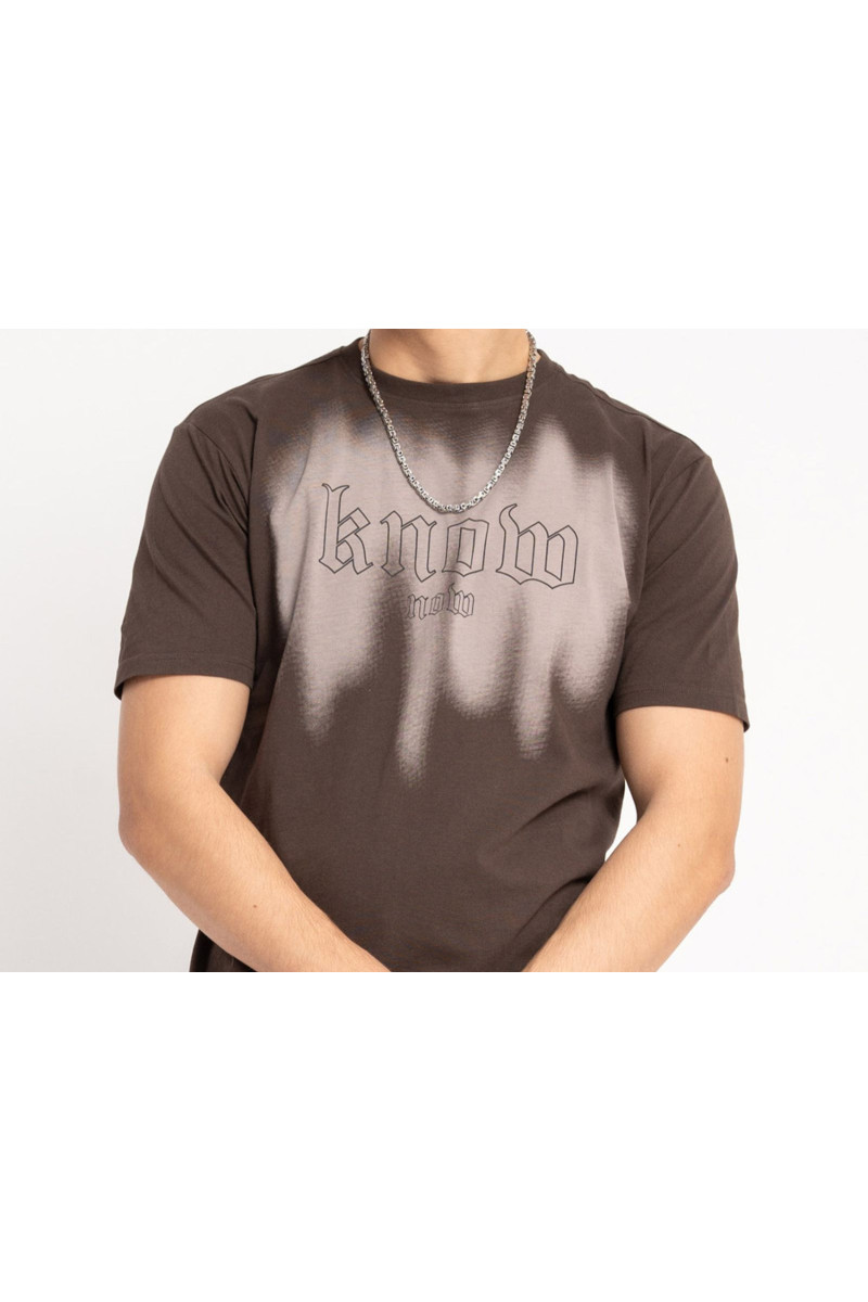 Brązowy t-shirt REGULAR z autorską grafiką z przodu, brązowy