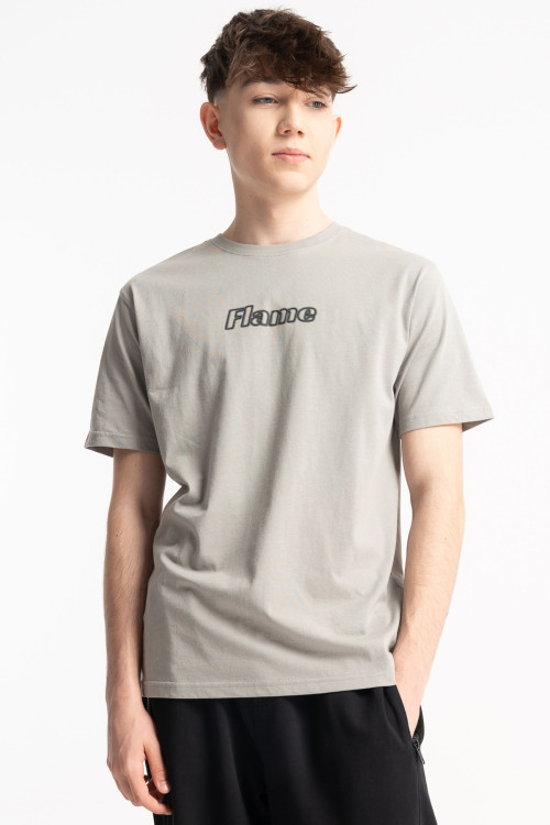 Jasnoszary t-shirt REGULAR z nadrukiem z przodu