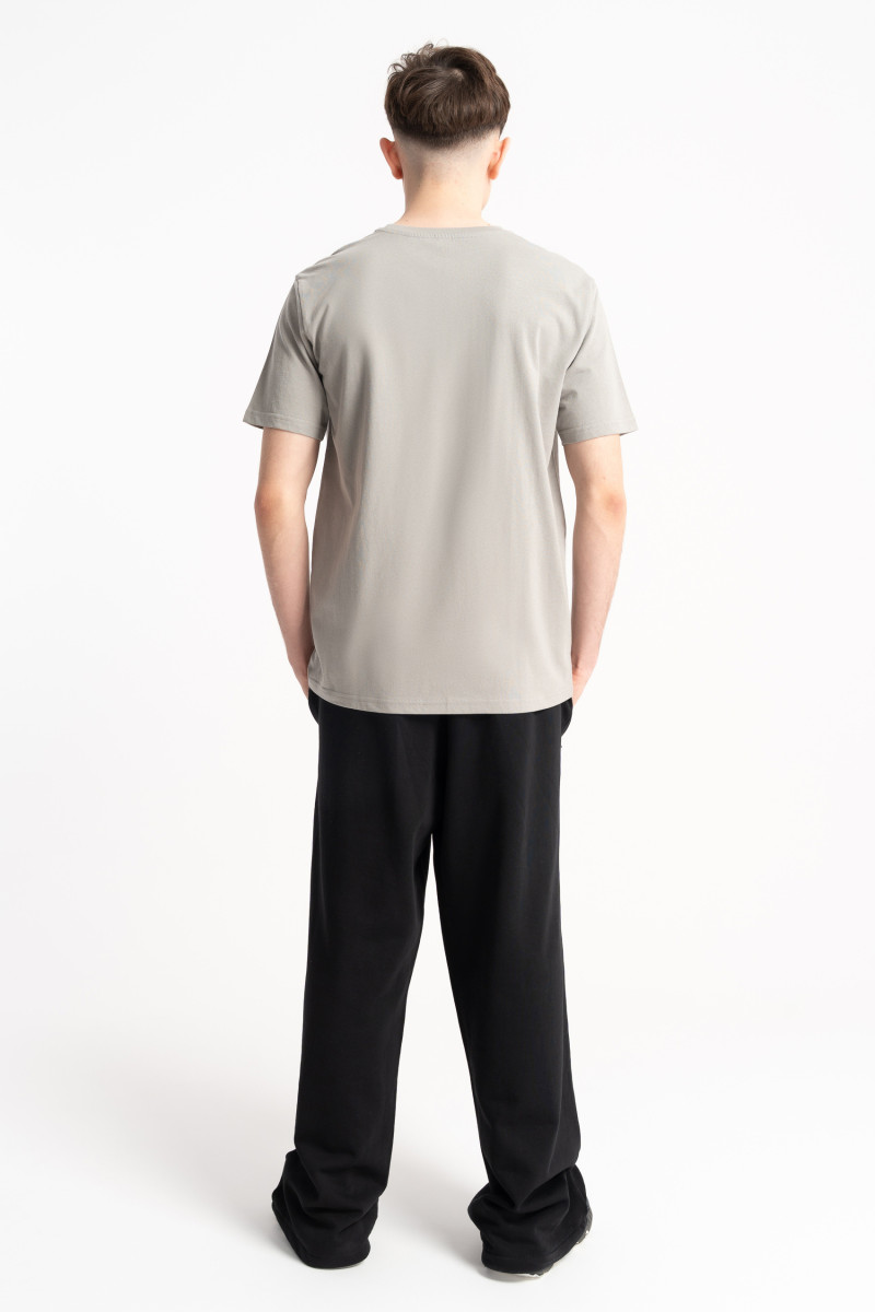 Jasnoszary t-shirt REGULAR z nadrukiem z przodu