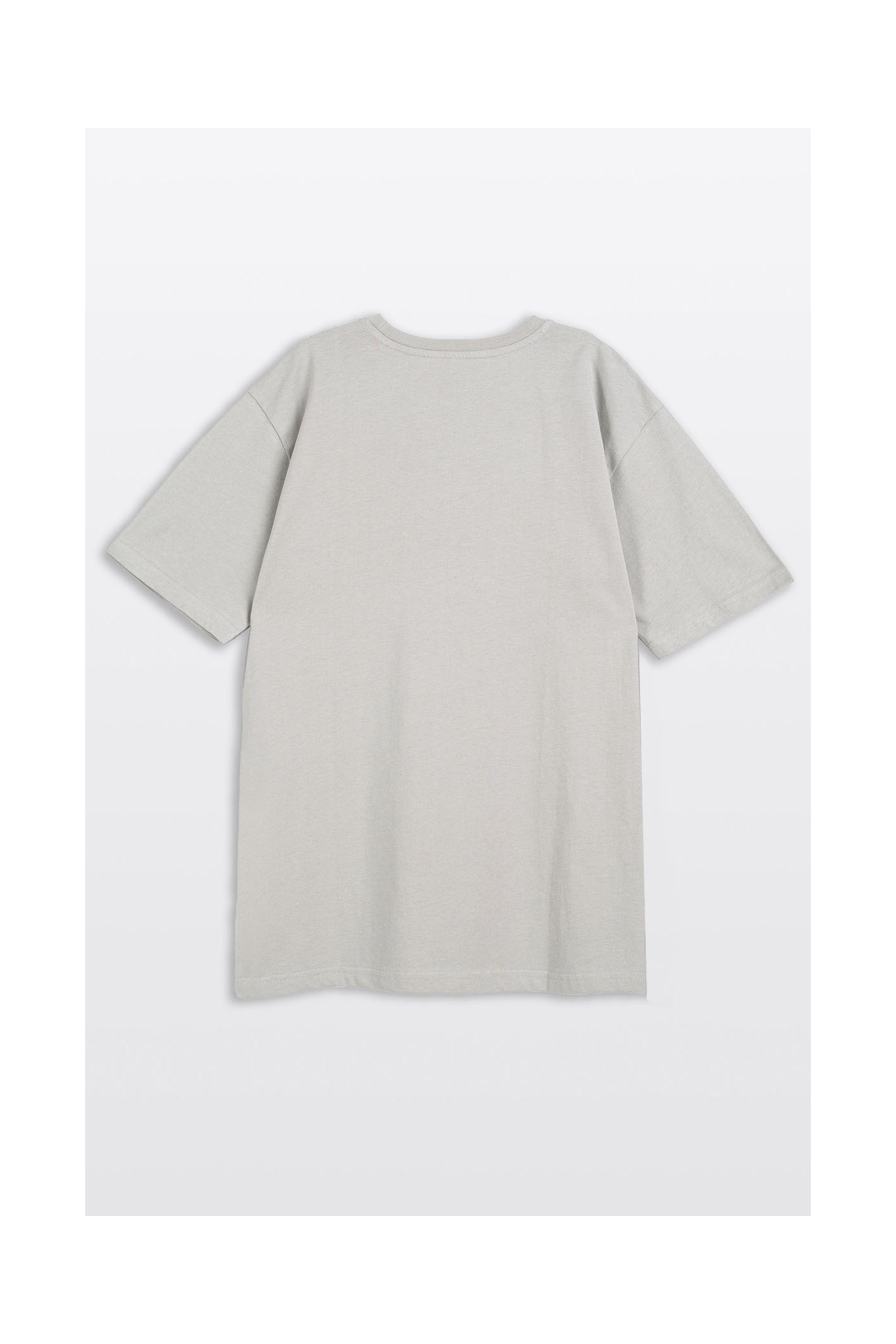 Jasnoszary t-shirt REGULAR z nadrukiem z przodu