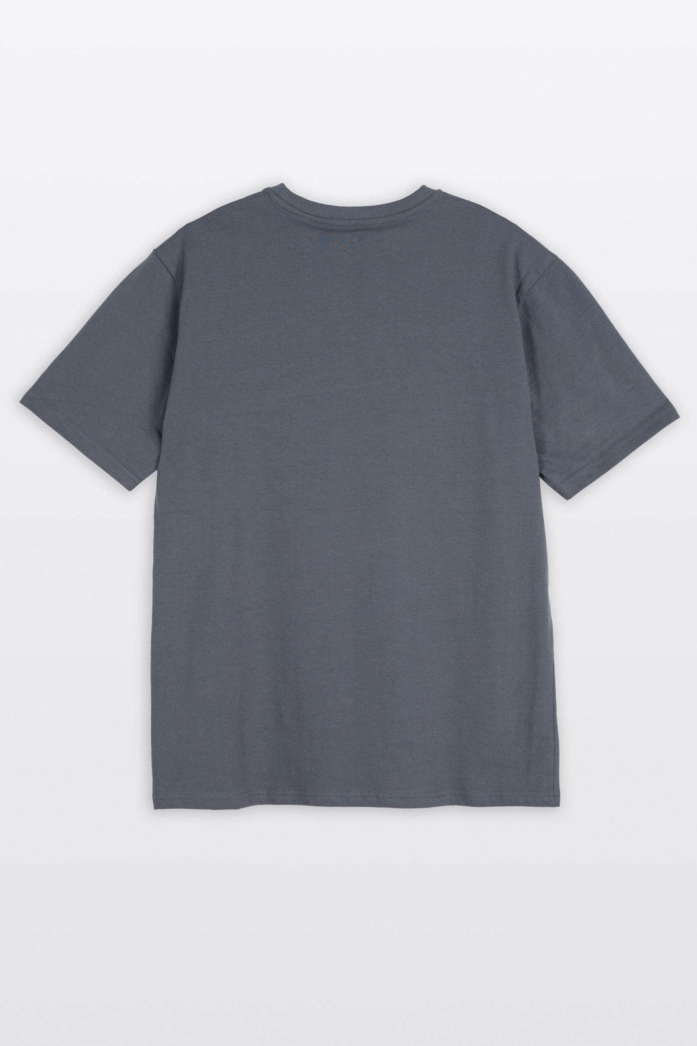 Szary t-shirt REGULAR z minimalistyczną grafiką z przodu