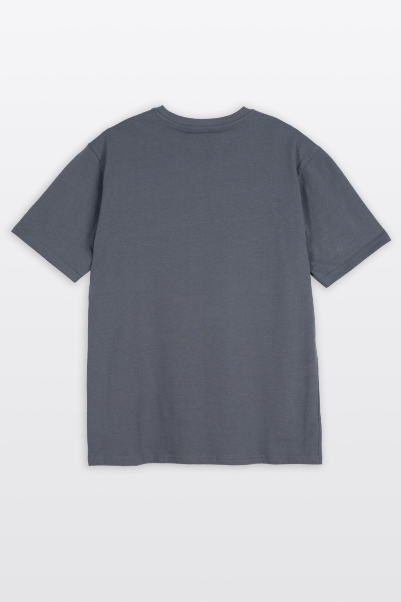 Szary t-shirt REGULAR z minimalistyczną grafiką z przodu