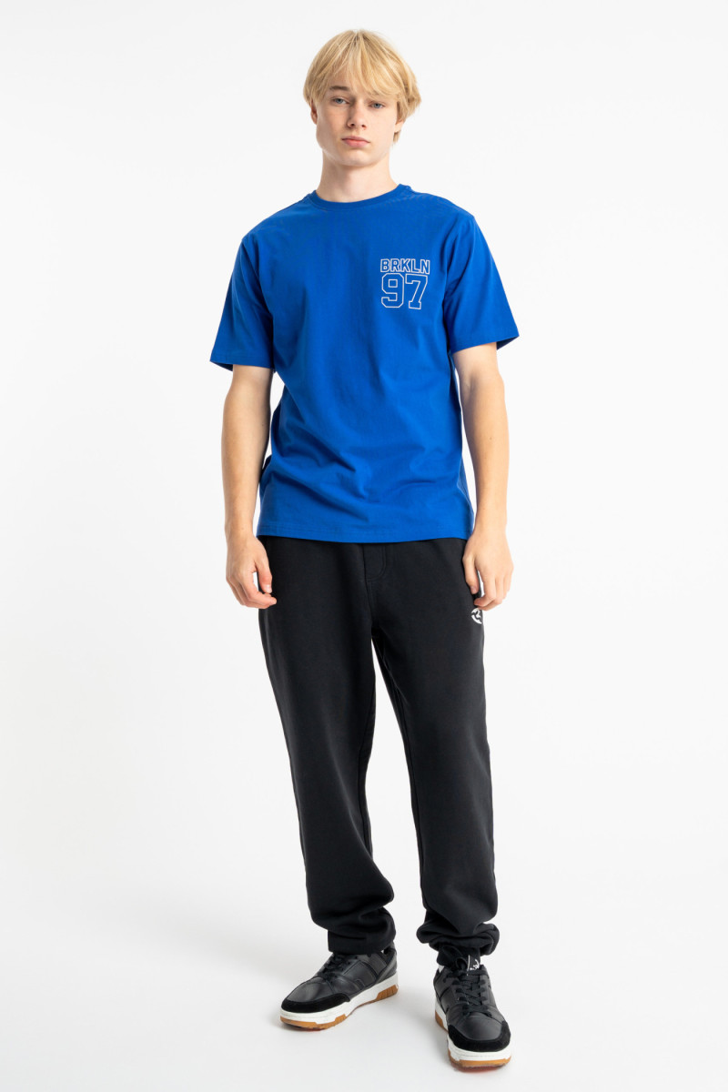 Niebieski t-shirt REGULAR z autorską grafiką z tyłu