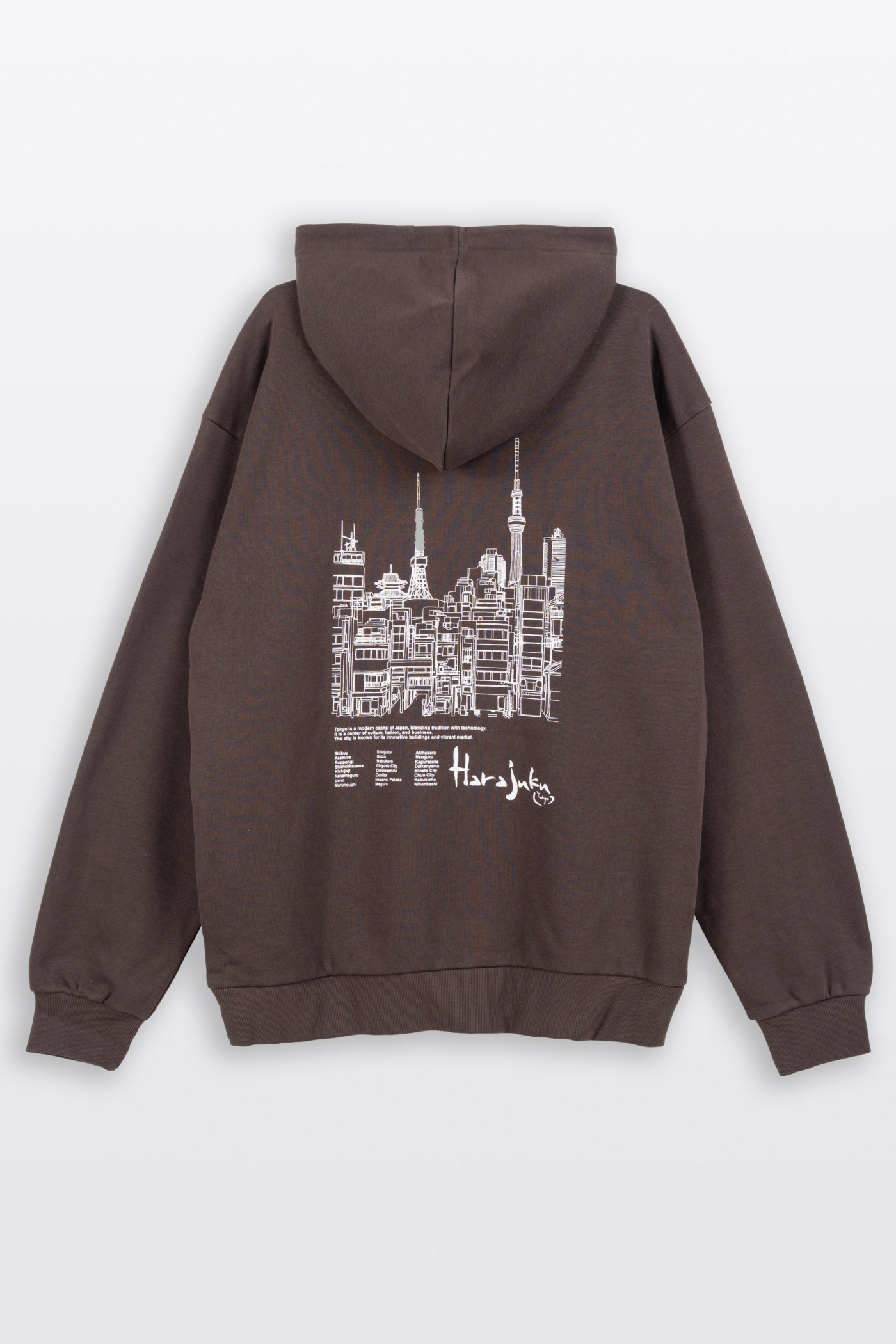 Brązowa bluza REGULAR z kapturem z autorską grafiką z tyłu