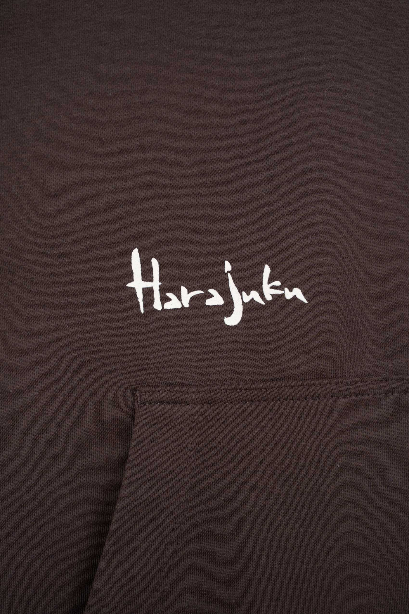 Brązowa bluza REGULAR z kapturem z autorską grafiką z tyłu