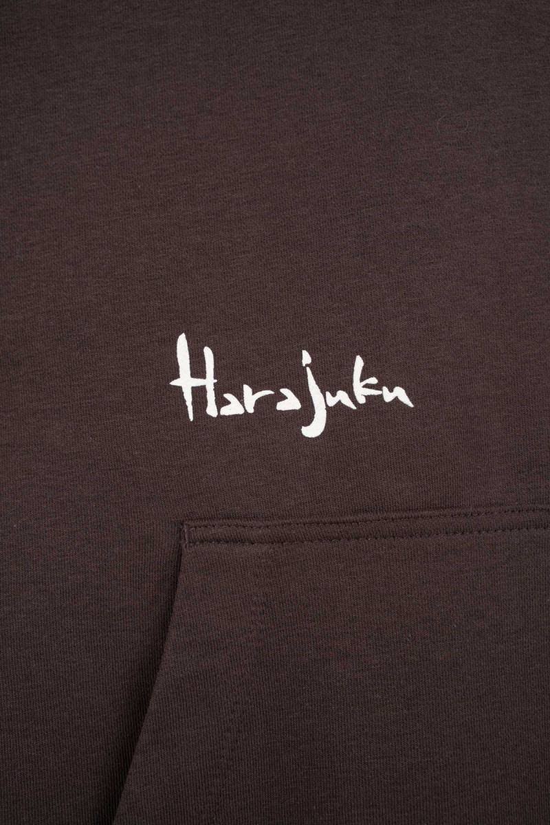 Brązowa bluza REGULAR z kapturem z autorską grafiką z tyłu