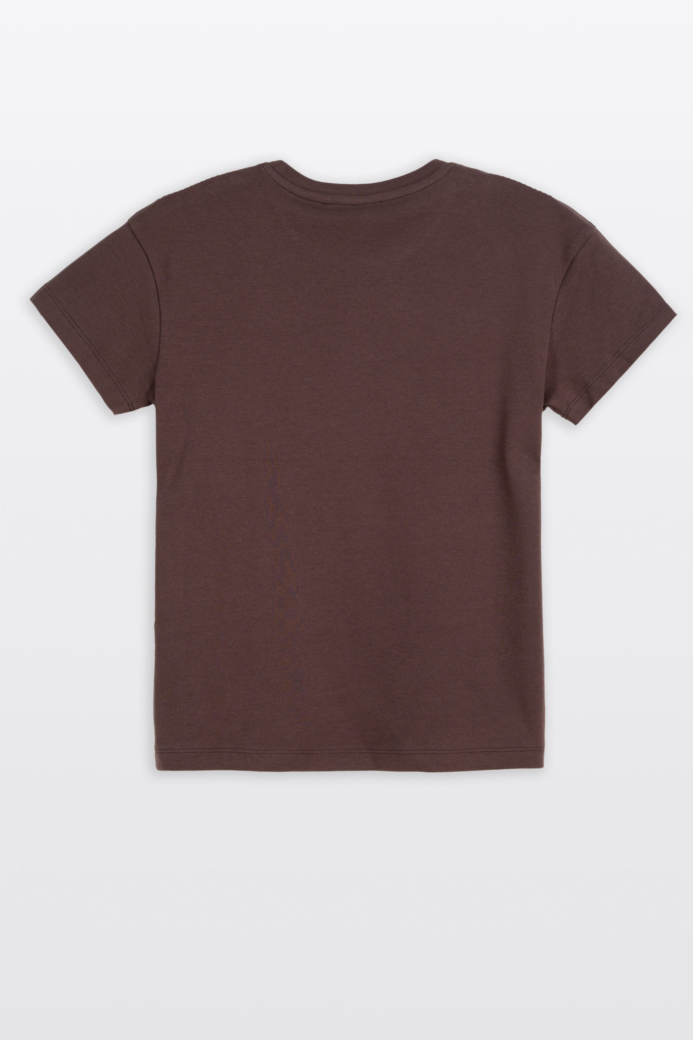 Brązowa bluzka REGULAR z krótkimi rękawami z minimalistycznym haftem