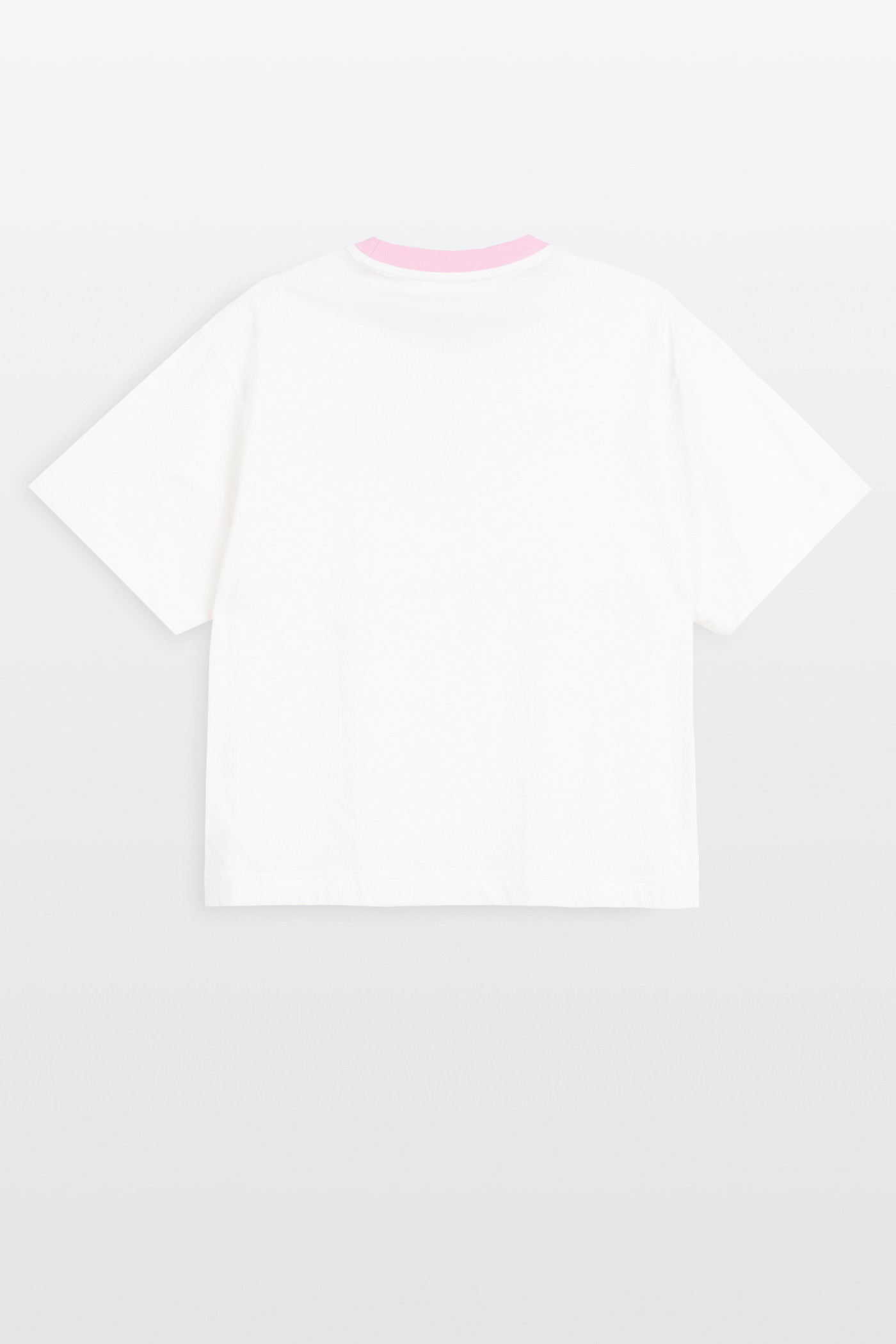 Biały-shirt CROPPED z autorską grafika z rzodu