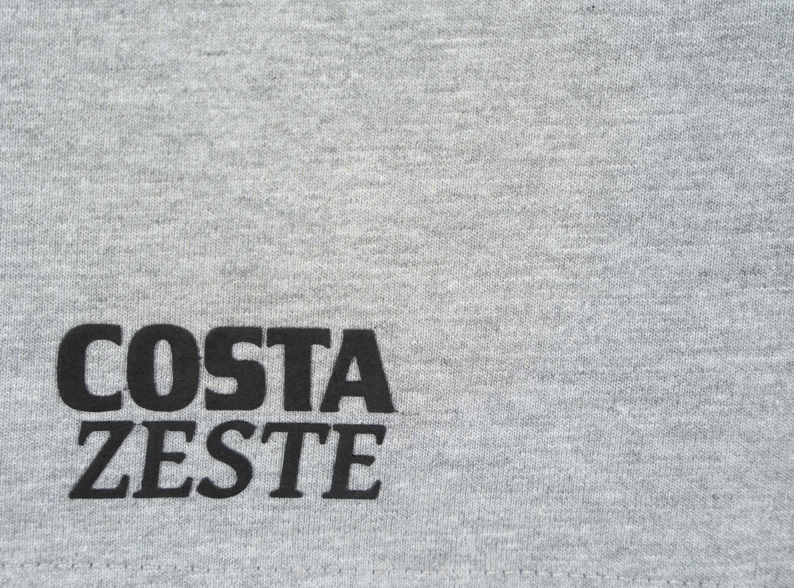 Szare krótkie spodenki z minimalistycznym nadrukiem