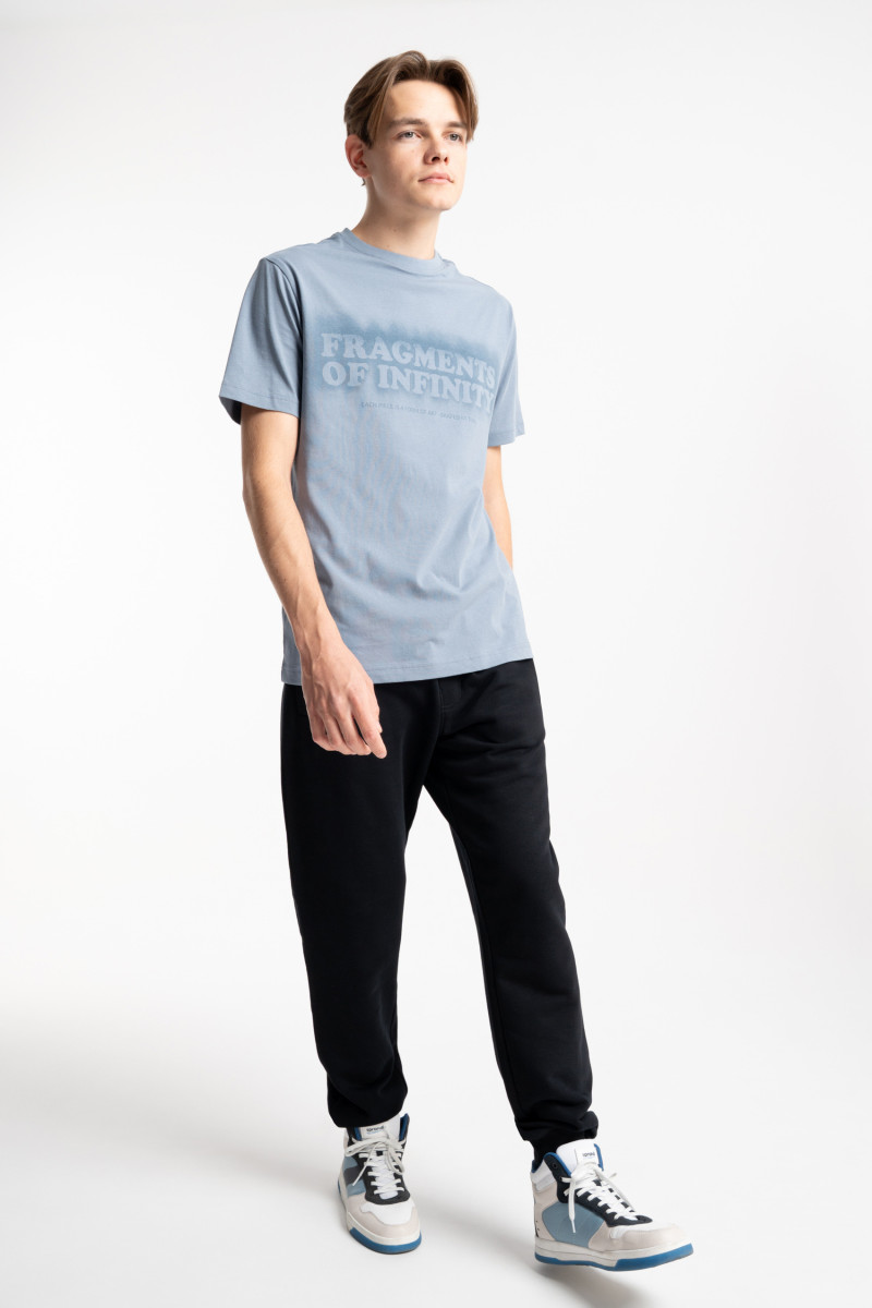 Szary t-shirt REGULAR z autorską grafiką z przodu